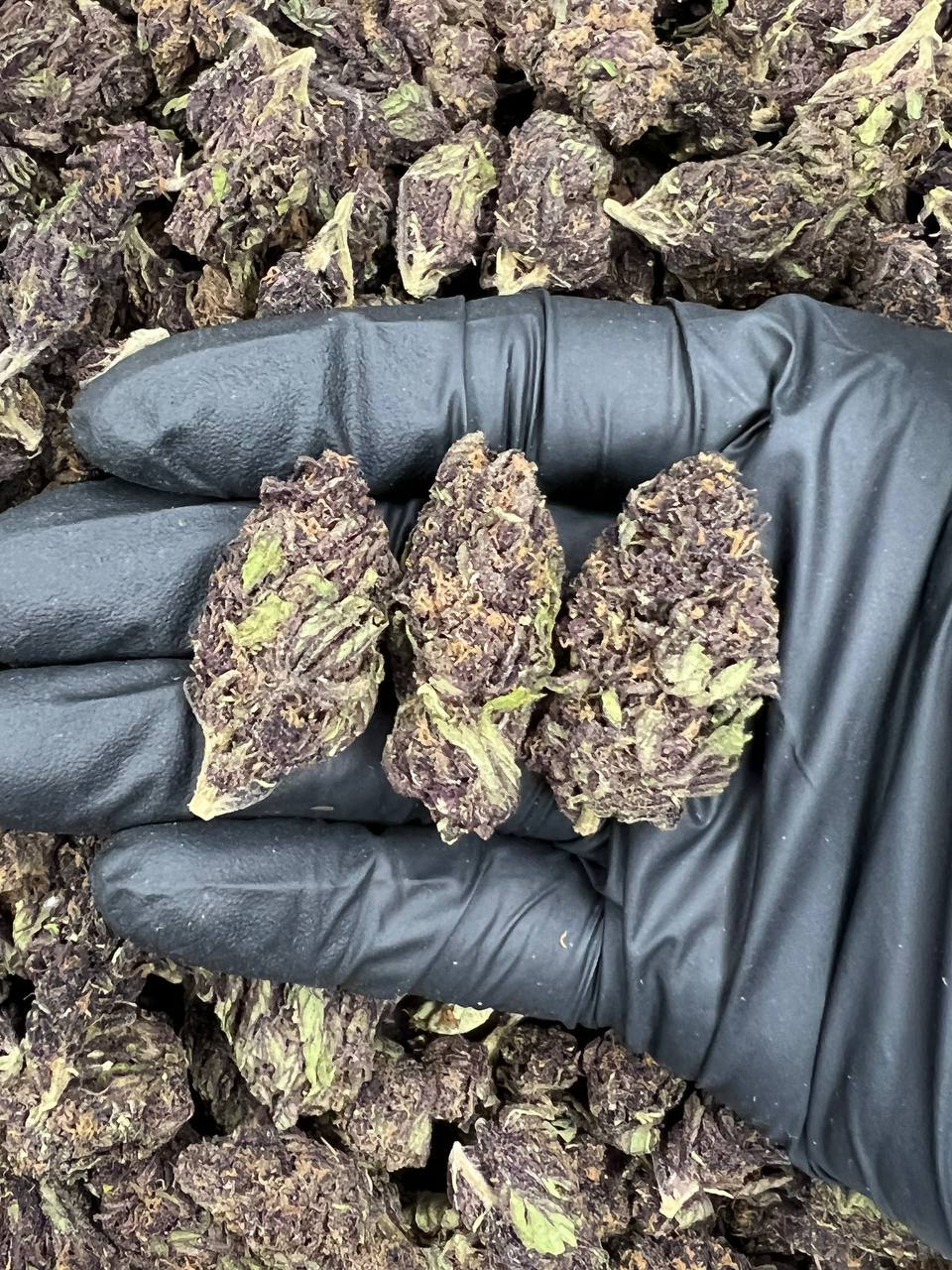 TRIPLE AAA Forbidden Fruit — Indica available in Los Angeles
