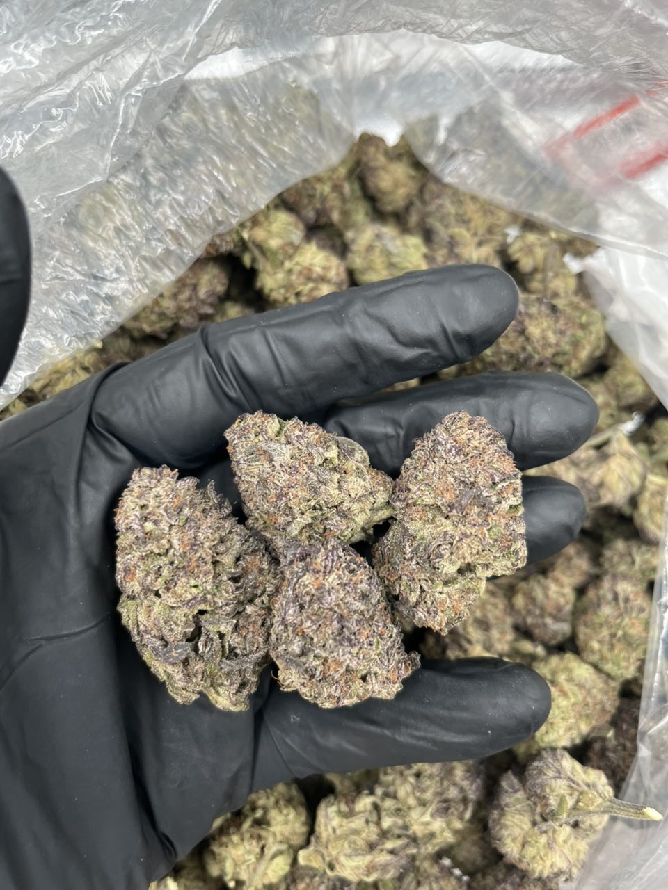 Pink Cookie  — Indica available in Los Angeles