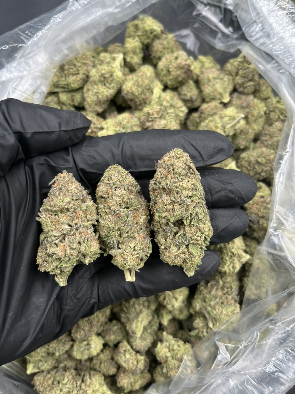 Pie Dough 🥧  — Indica available in Los Angeles