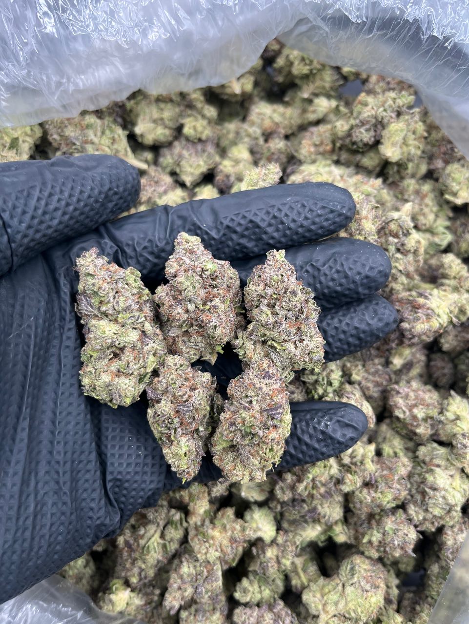 Donny Burger 🍔 ⛽️  — Indica available in Los Angeles