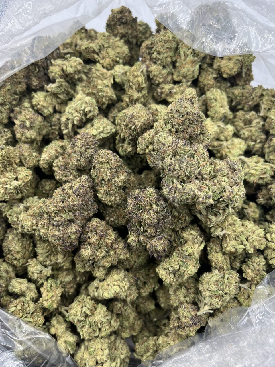 Purp lato — Indica available in Los Angeles