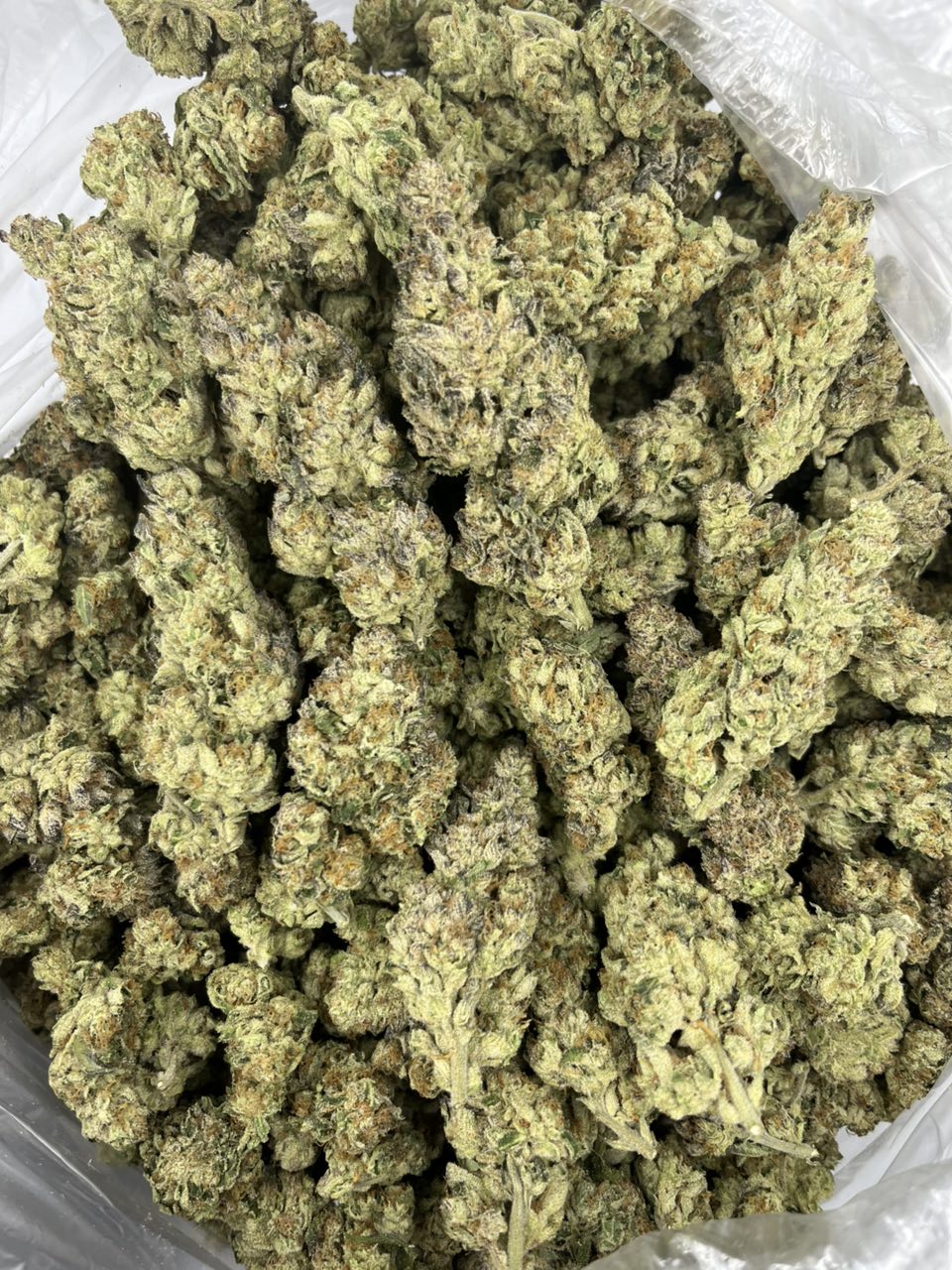 Garlic Breath π§ β Indica available in Los Angeles