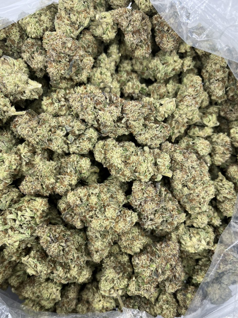 Khalifa Kush ⛽️  — Indica available in Los Angeles