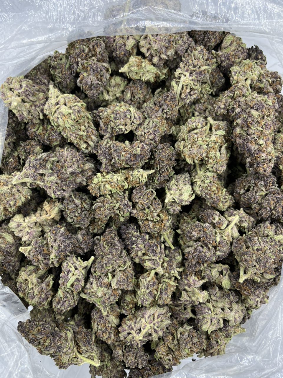 Orange Starburzt 🍊  — Sativa available in Los Angeles