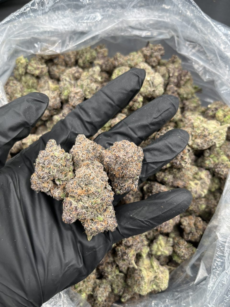 Airheadz candy π¬ π β Hybrid available in Los Angeles