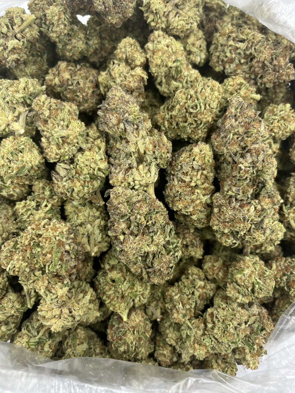 Khalifa Pie 🥧 — Hybrid available in Los Angeles