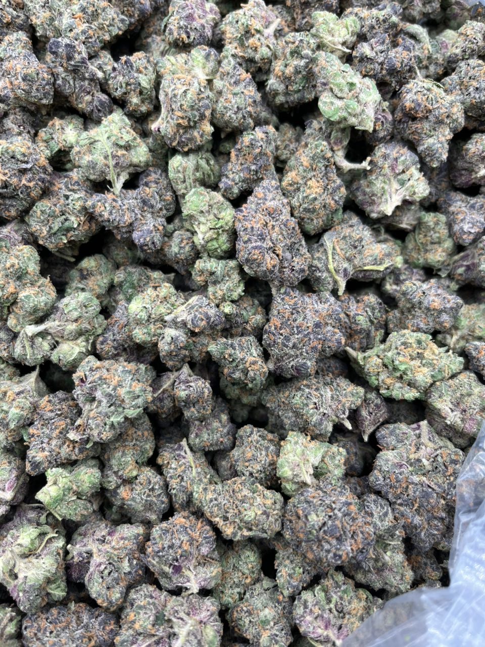 Payton’s Pie 🥧 ⛽️ — Hybrid available in Los Angeles