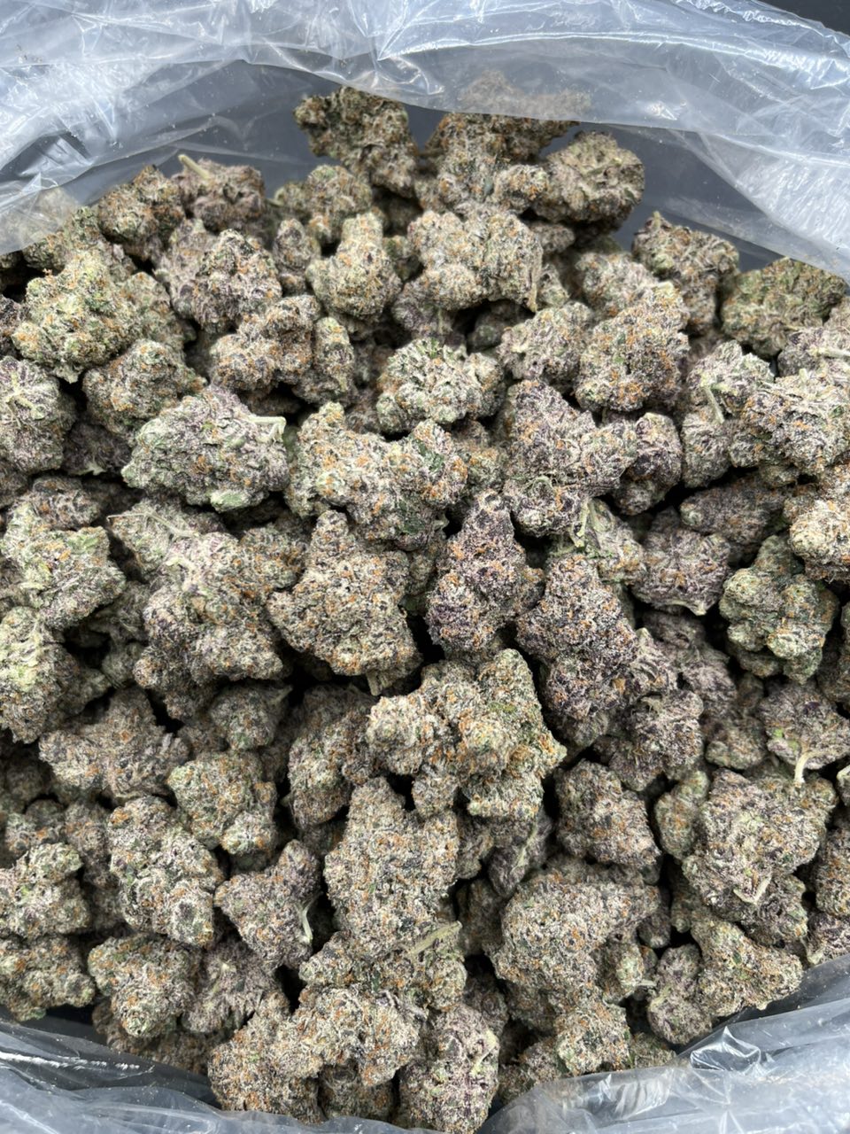 Biscotti ⛽️ — Indica available in Los Angeles