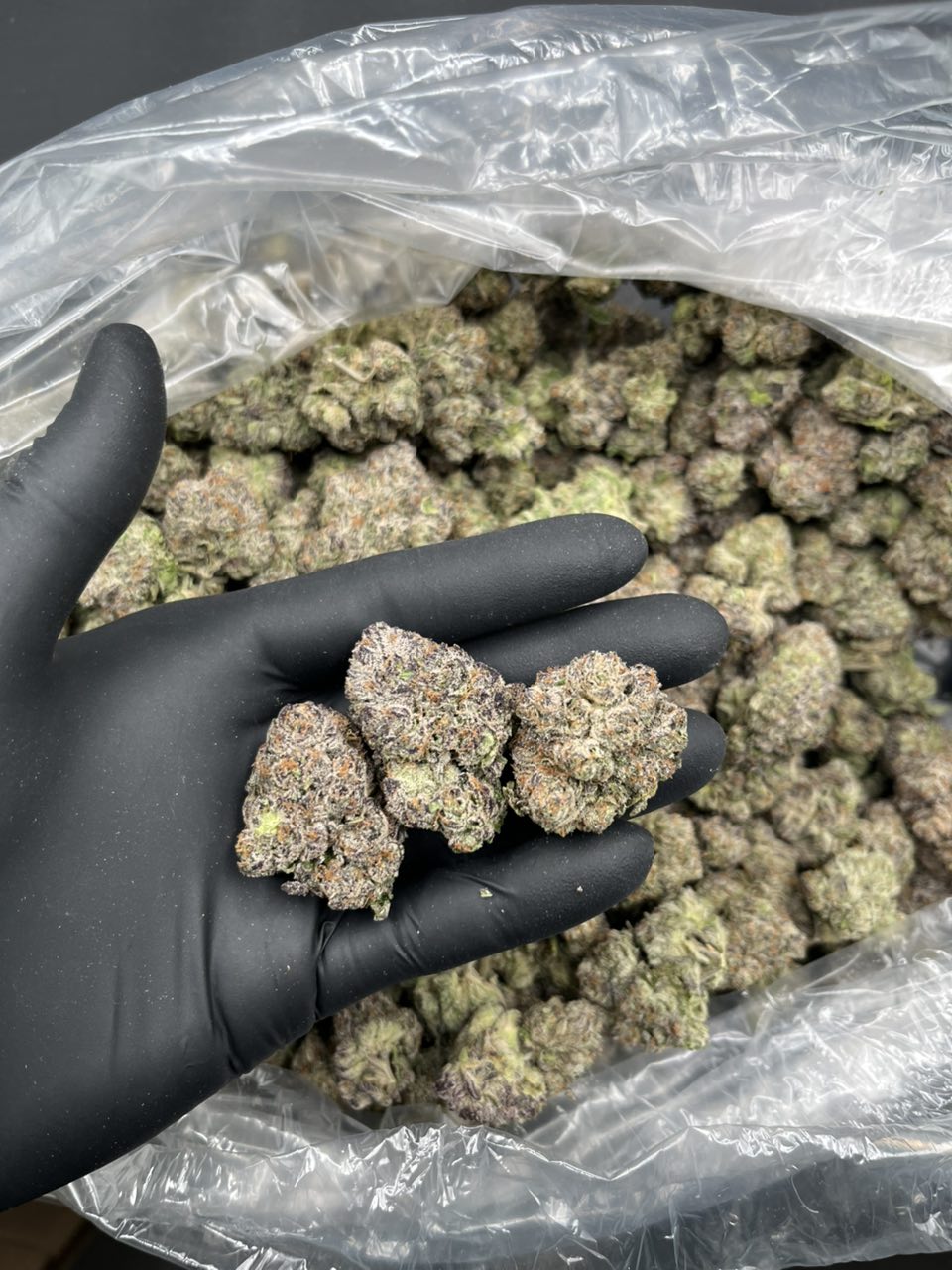 Sprite ๐ฌ โ Sativa available in Los Angeles