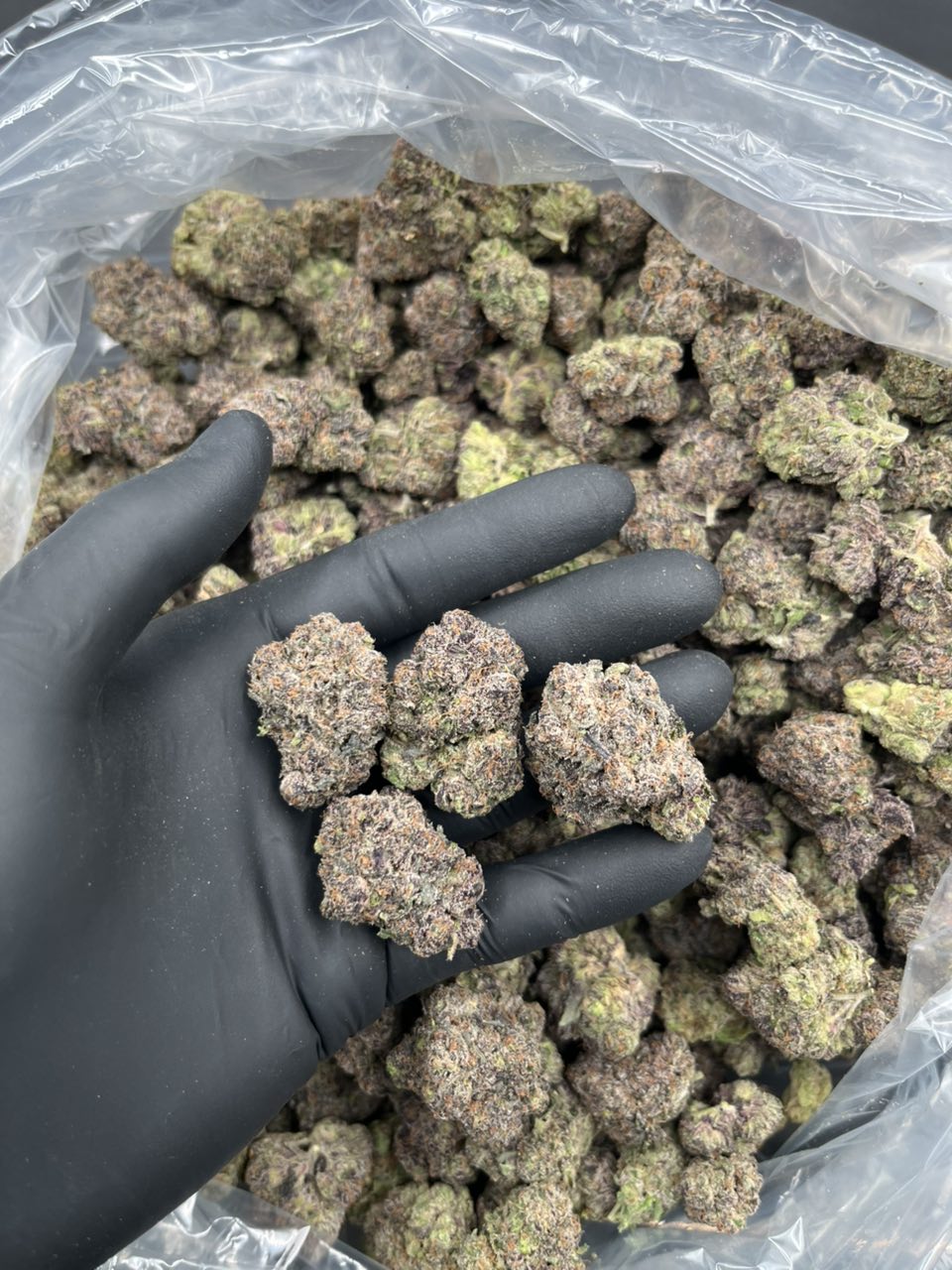 Cherry Taffy 🍒 🍭 — Hybrid available in Los Angeles