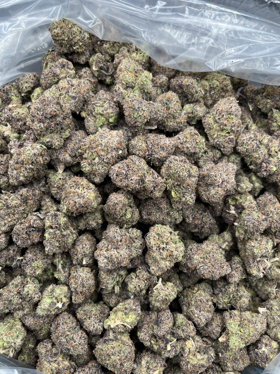 Galactic Gumbo 🍭 — Indica available in Los Angeles