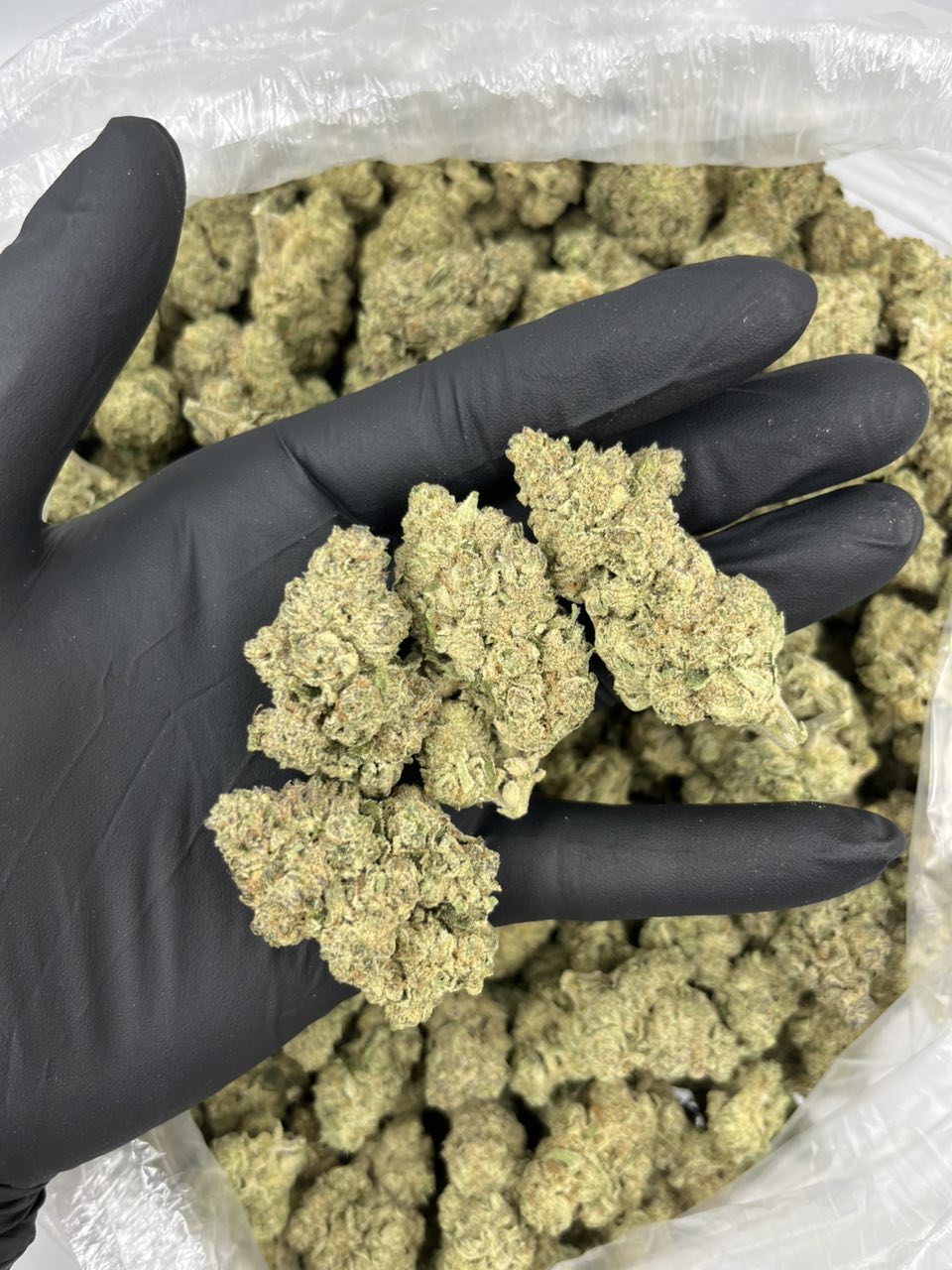 Banana Bunch π π β Indica available in Los Angeles