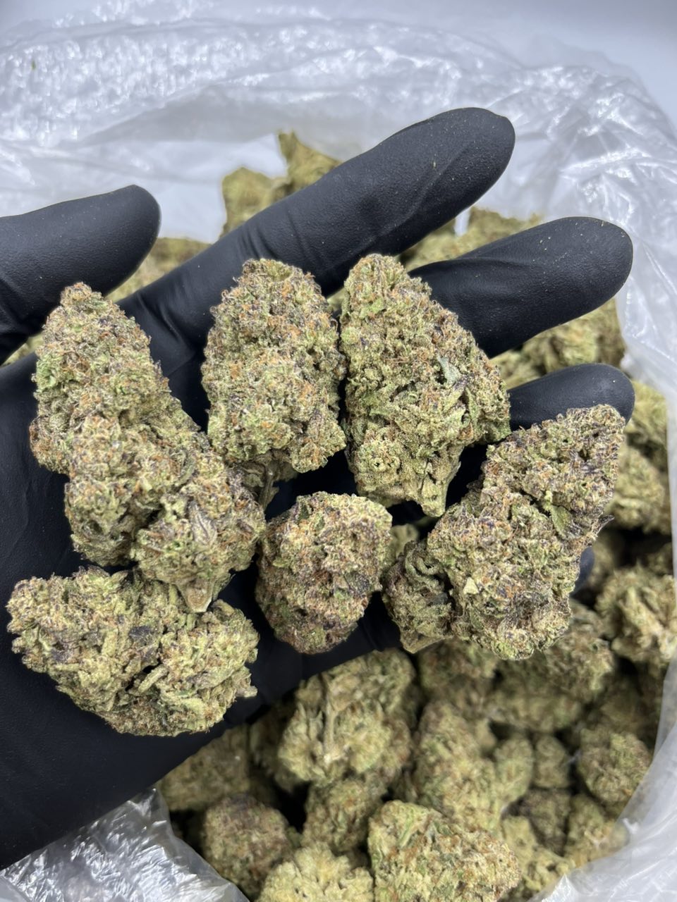 Vanilla Mochi 🍦 🍡 — Hybrid available in Los Angeles