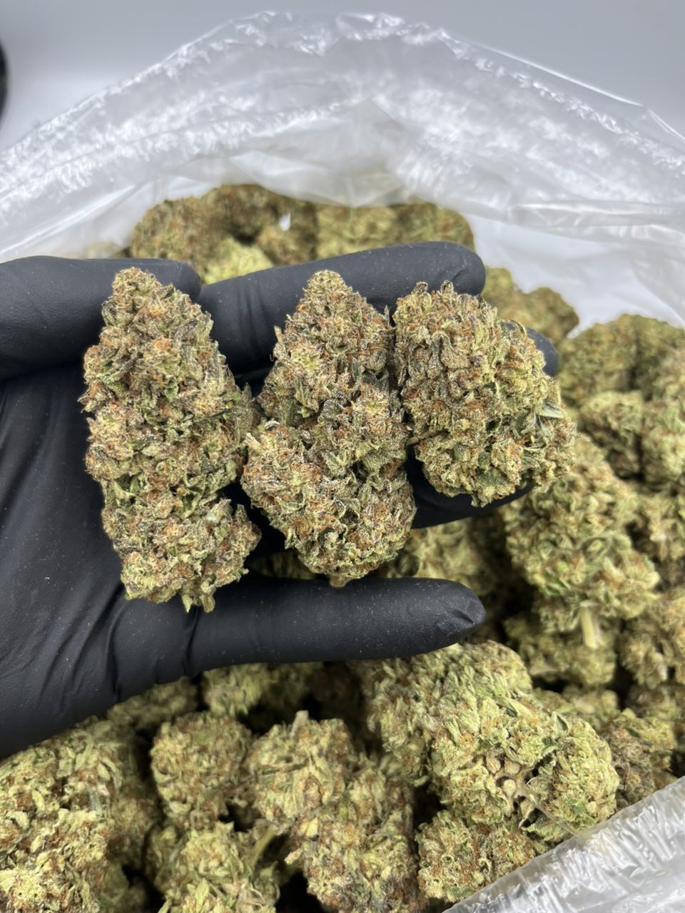 Cartel Cake ⚔️🍰 — Hybrid available in Los Angeles