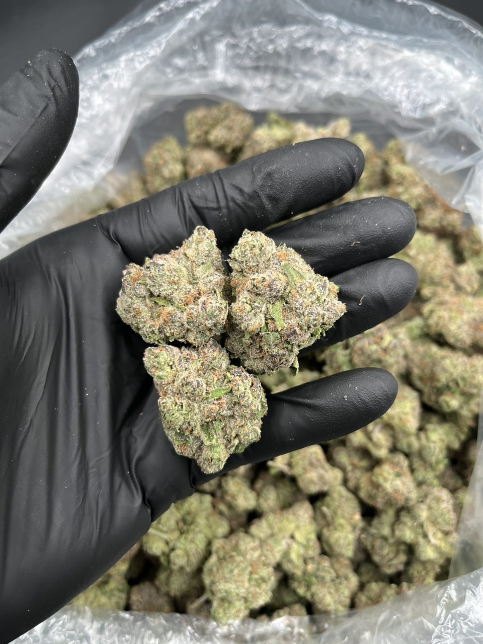 Latto lemons 🍋 🍭   — Sativa available in Los Angeles