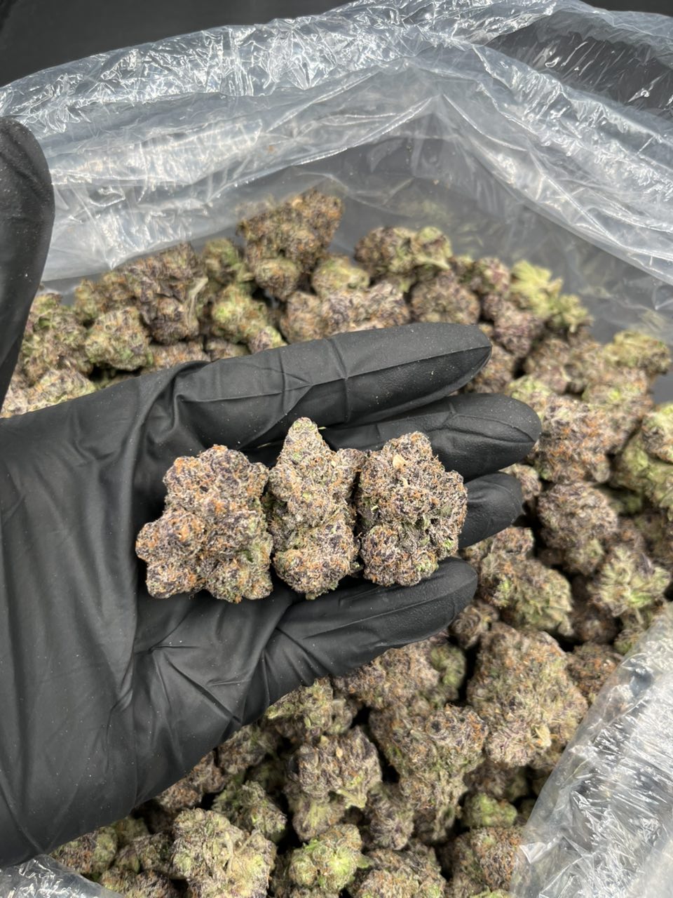 Goobers 🍭  — Indica available in Los Angeles