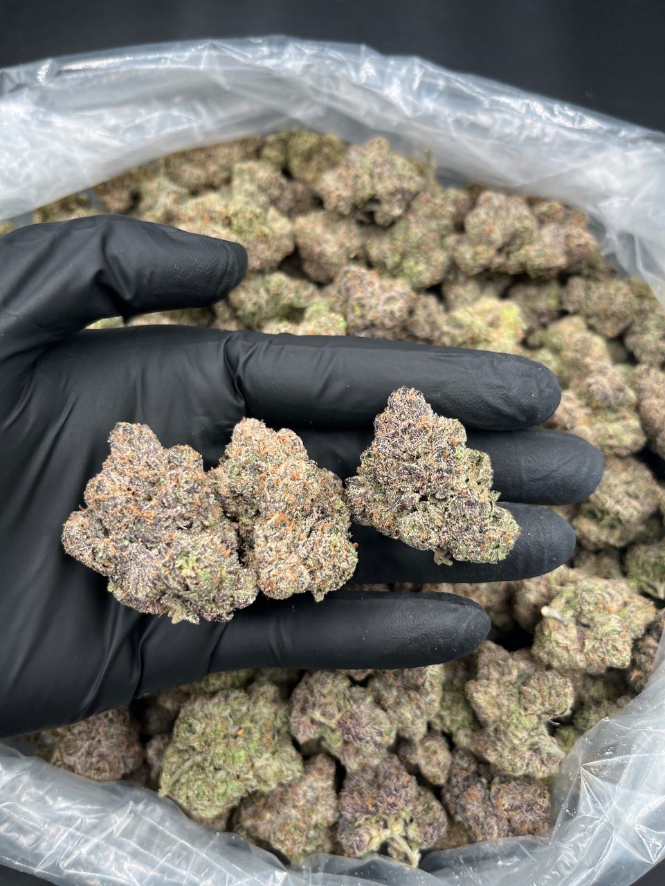911 Turbo Premium Flower 🌿⛽️ — Indica available in Los Angeles