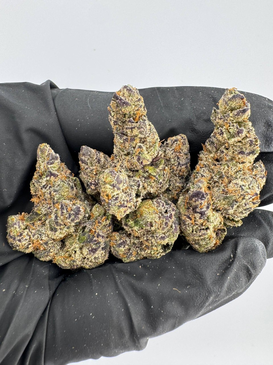 Oreo Blizzy: Premium Exotic Candy Flower 🚨🍭 — Hybrid available in Los Angeles