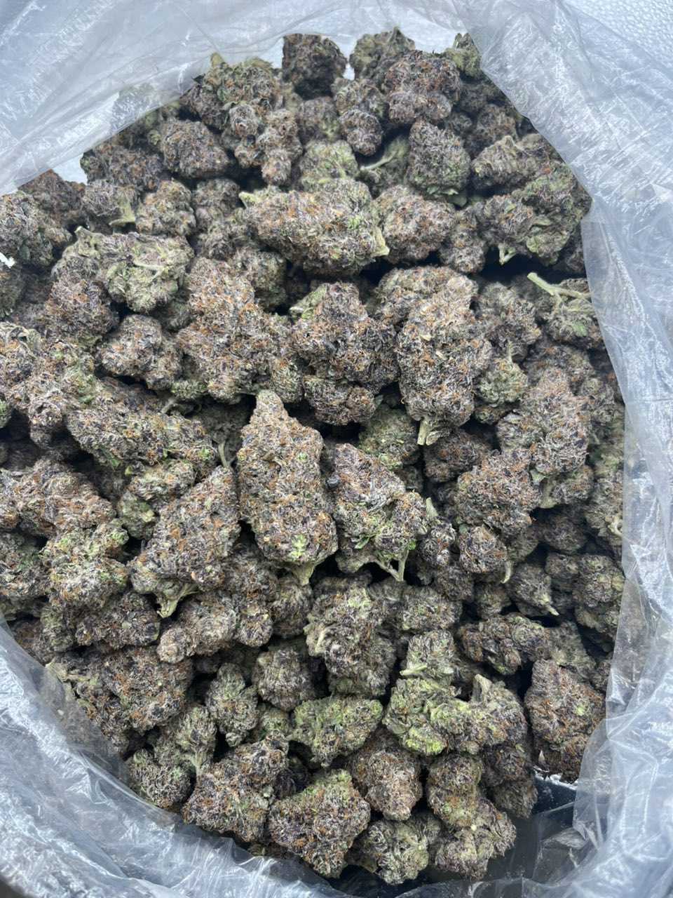 Pink Mochi: Premium Exotic Candy Flower 🚨🍭 — Hybrid available in Los Angeles