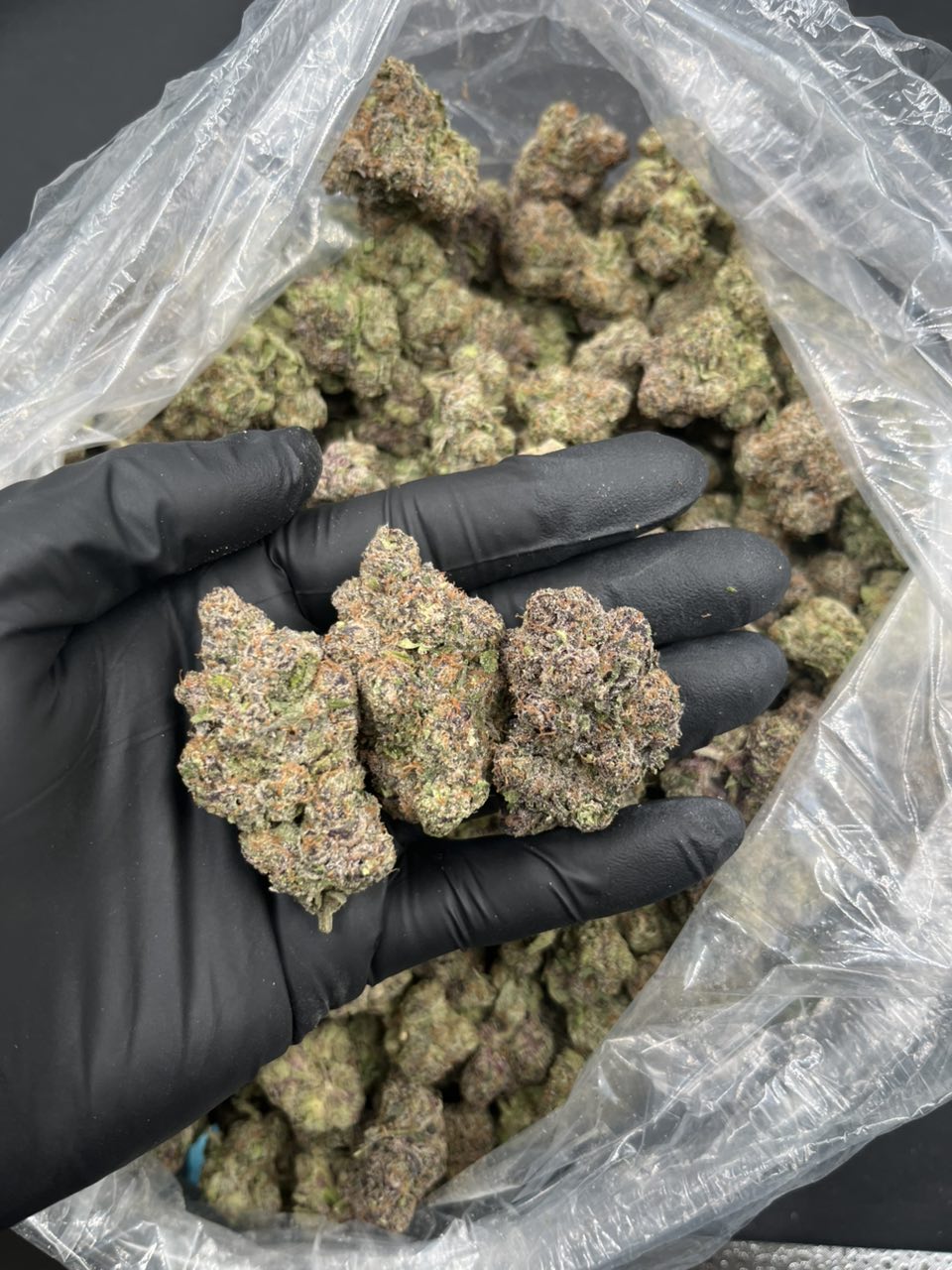 Strawberry Beltz ๐ ๐ญ โ Hybrid available in Los Angeles