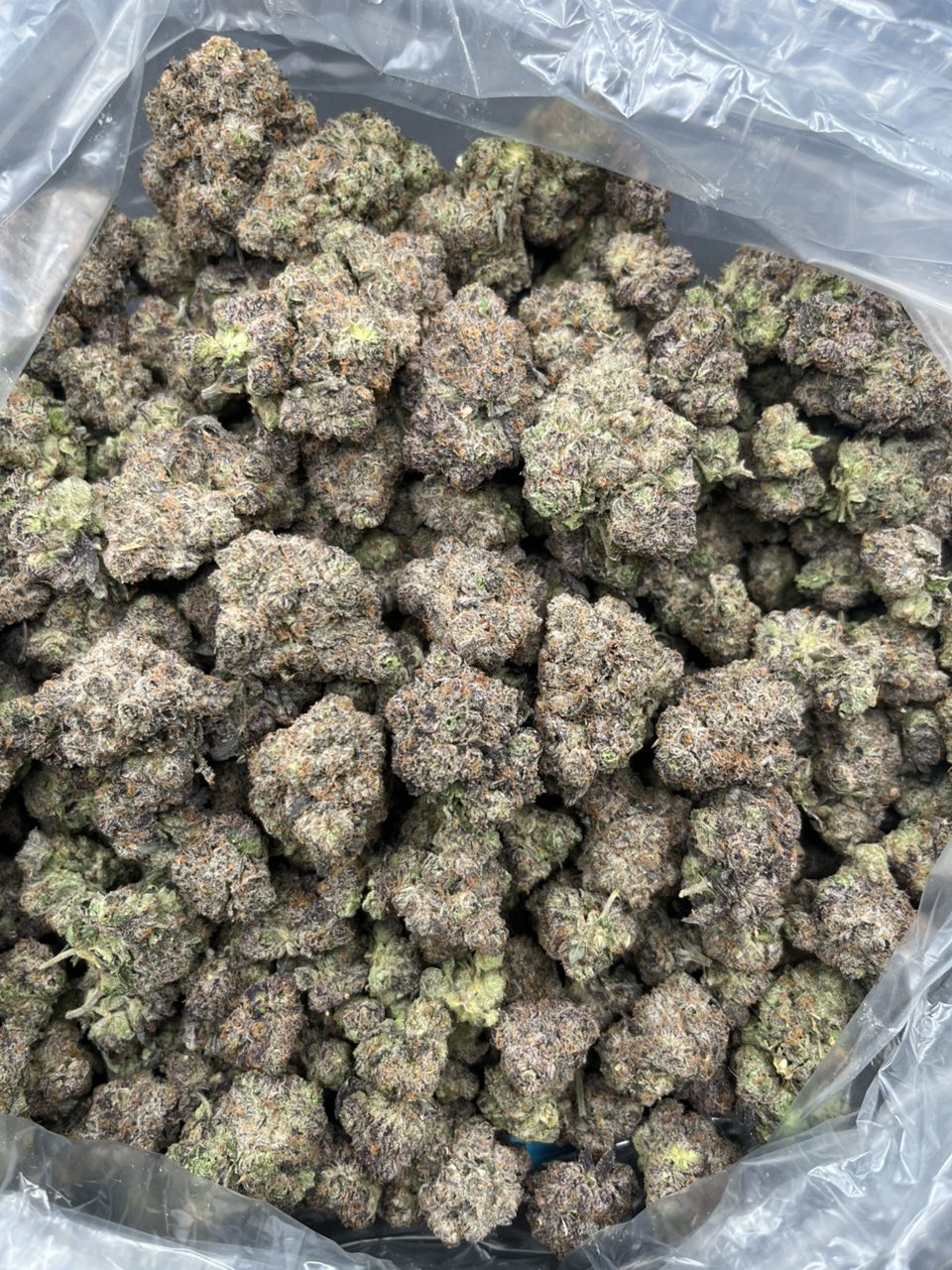 Cosmic Cherries 🍒 🍭 — Hybrid available in Los Angeles