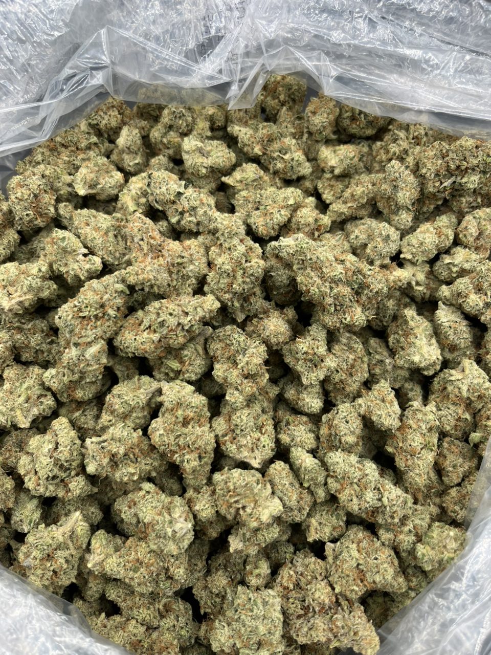 Headband 707 ⛽️ — Hybrid available in Los Angeles