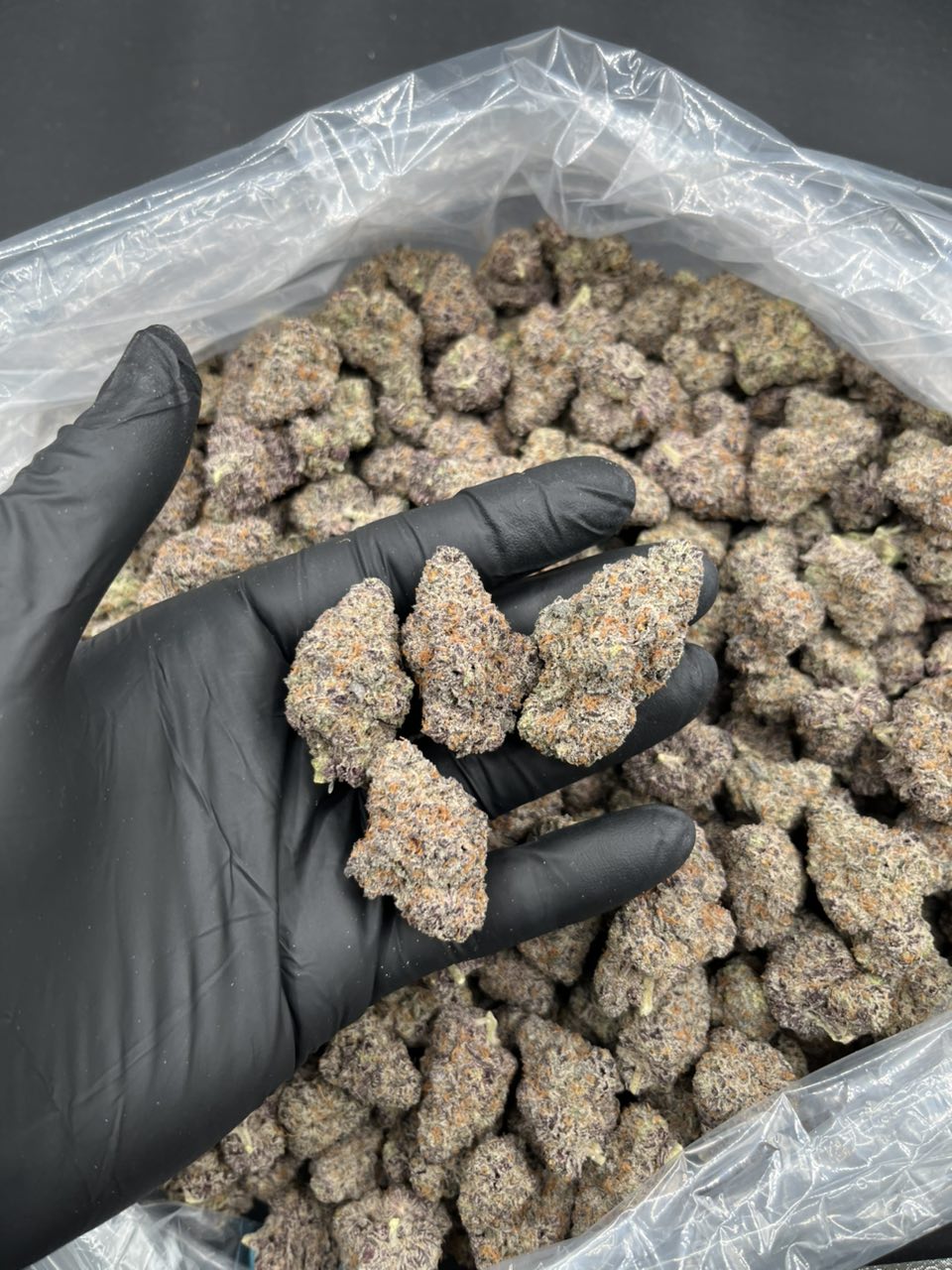 AM-PM ⛽️ — Hybrid available in Los Angeles