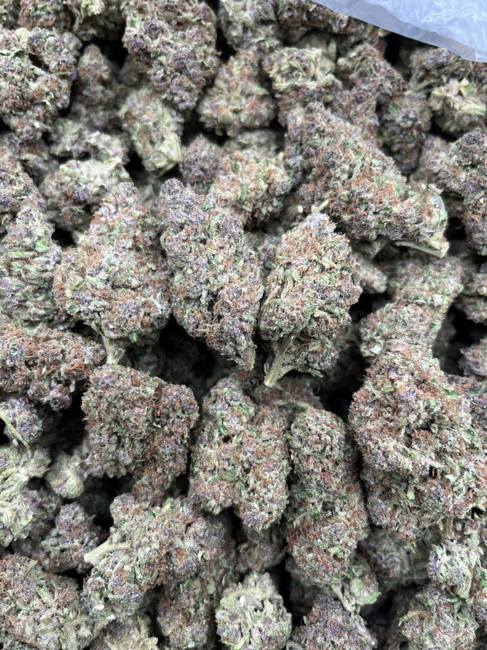 Sweet Mandarin 🍊 🍭 — Hybrid available in Los Angeles
