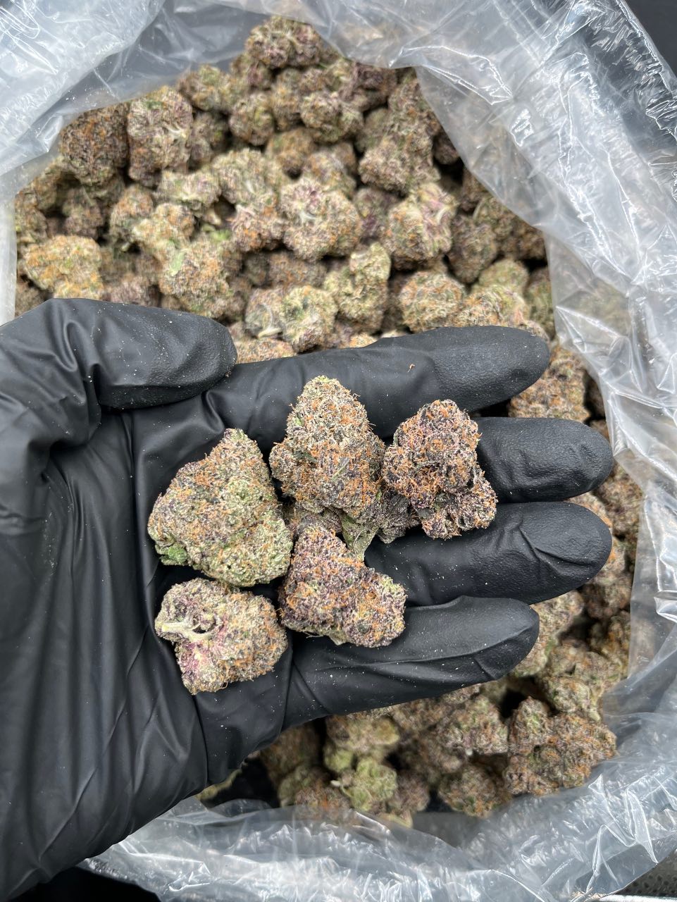Danish Cherriez: Premium Exotic Candy Flower 🚨🍒 — Hybrid available in Los Angeles