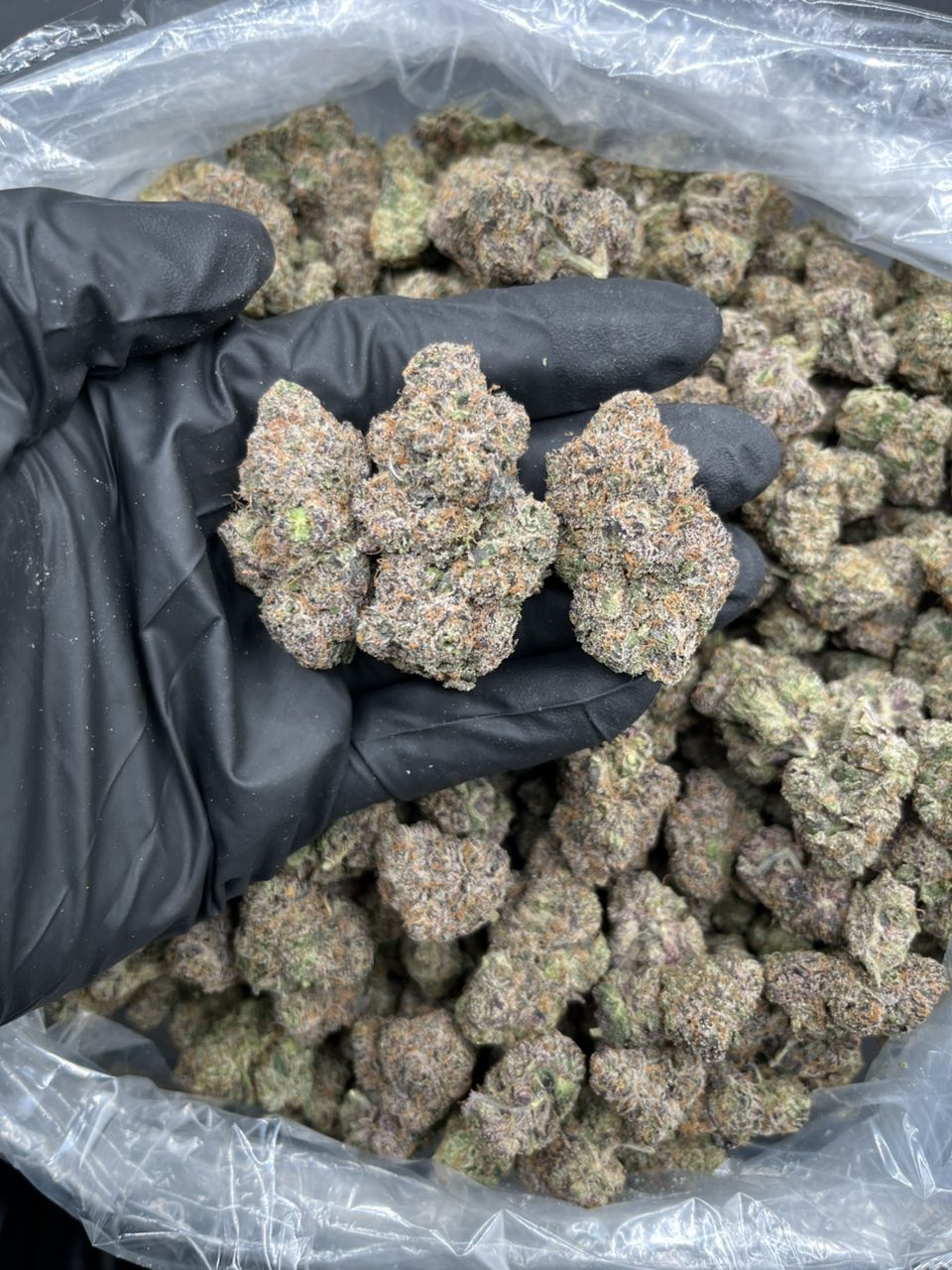 Razzberry Stroudel: Premium Exotic Candy Flower 🚨🥧 — Hybrid available in Los Angeles