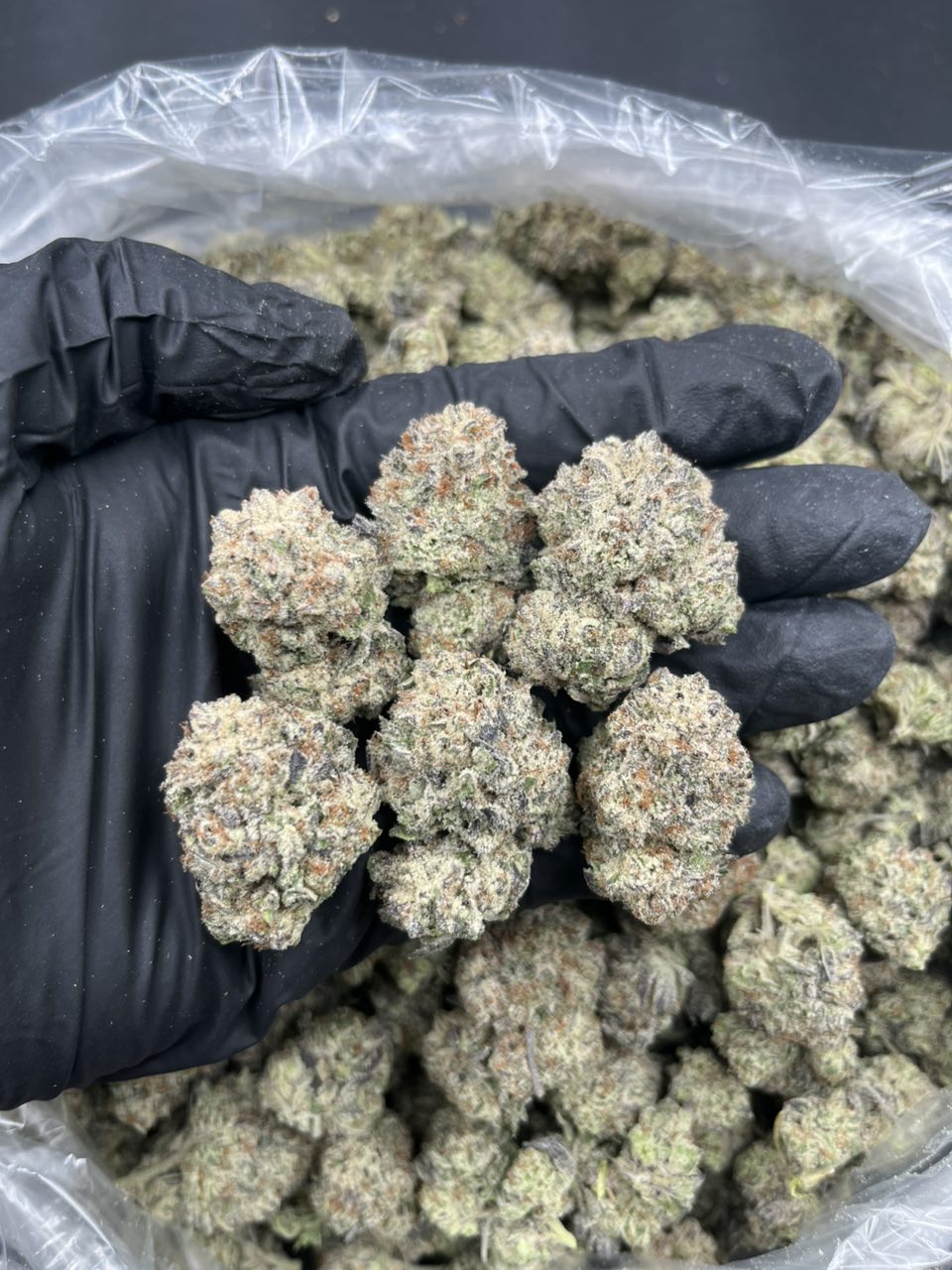 Oreo Blizzard 🥶 — Hybrid available in Los Angeles