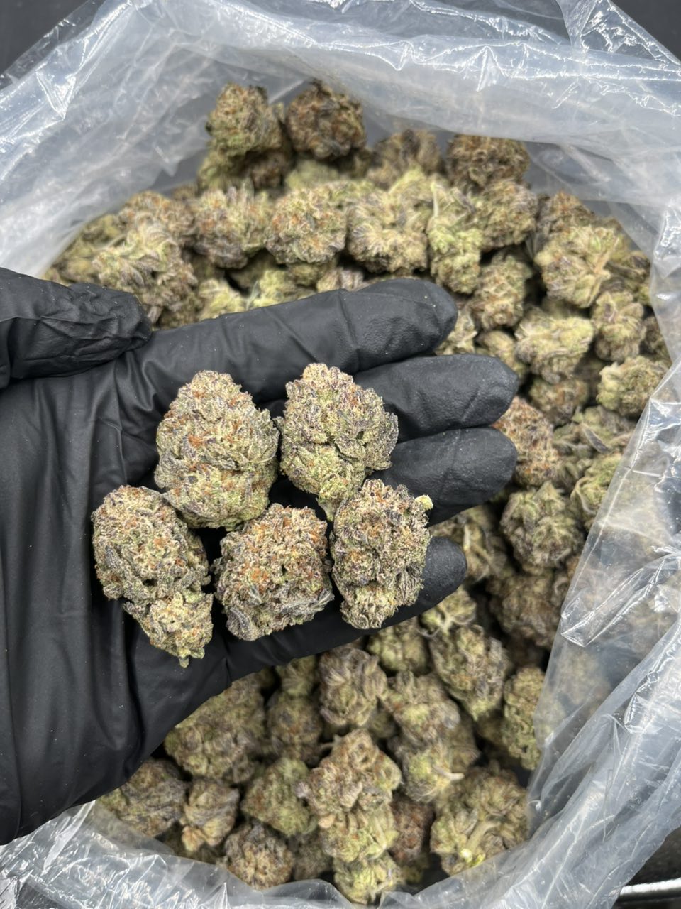 Plat Bubba ⛽️ — Indica available in Los Angeles