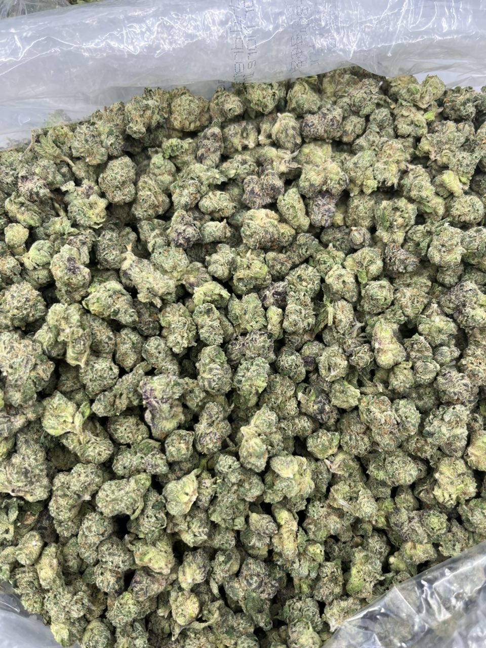 Candy Scmediums 🍭 🍬 — Hybrid available in Los Angeles