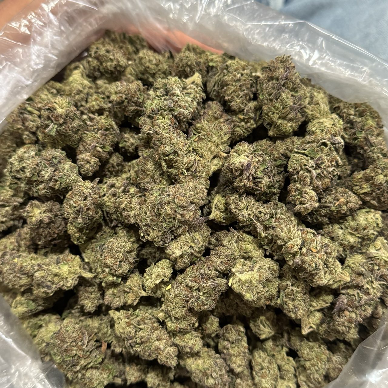 Cosmic Crisp 🍭 ⛽️ — Hybrid available in Los Angeles