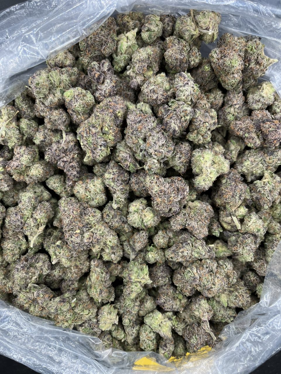 NYC Gumbo ๐ญ โ Indica available in Los Angeles