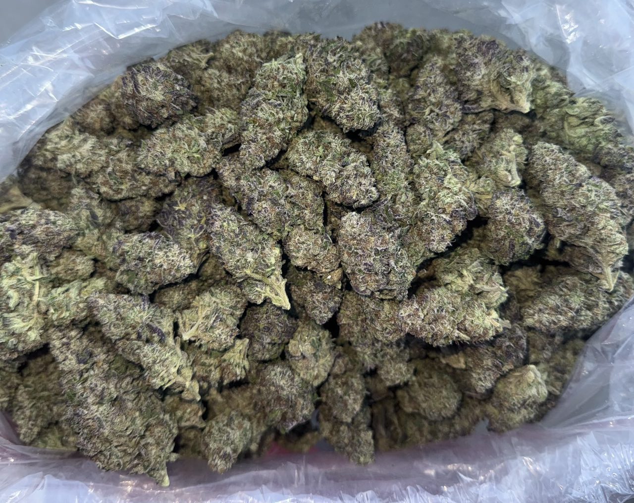 Lip Smacker π π β Hybrid available in Los Angeles