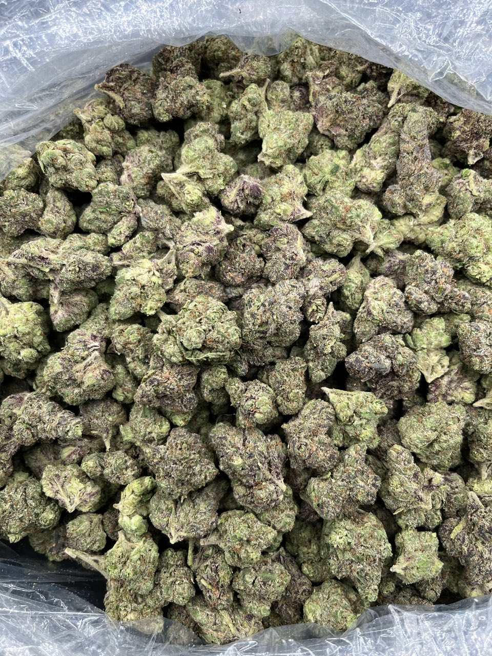 Peach Rings 🍬 🍑 — Hybrid available in Los Angeles