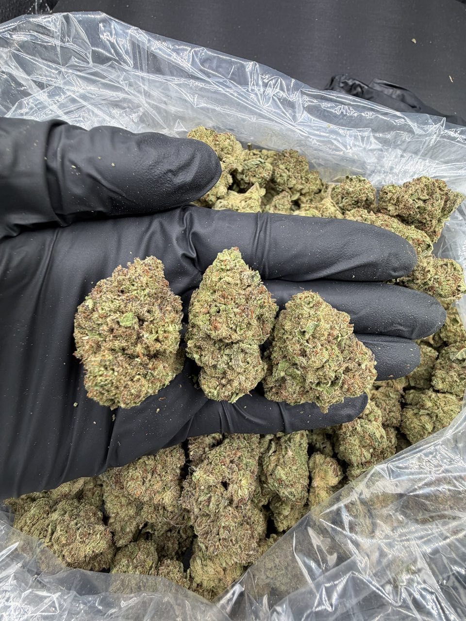 LA Kush Cake ๐ โ Indica available in Los Angeles