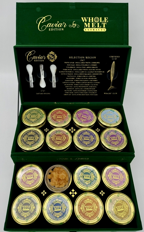 WHOLE MELT - LIVE RESIN SUGAR - CAVIAR EDITION — Sugar available in Los Angeles
