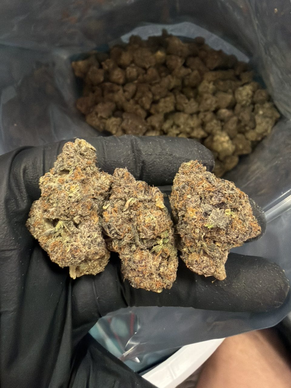 Red Hotz — Hybrid available in Los Angeles