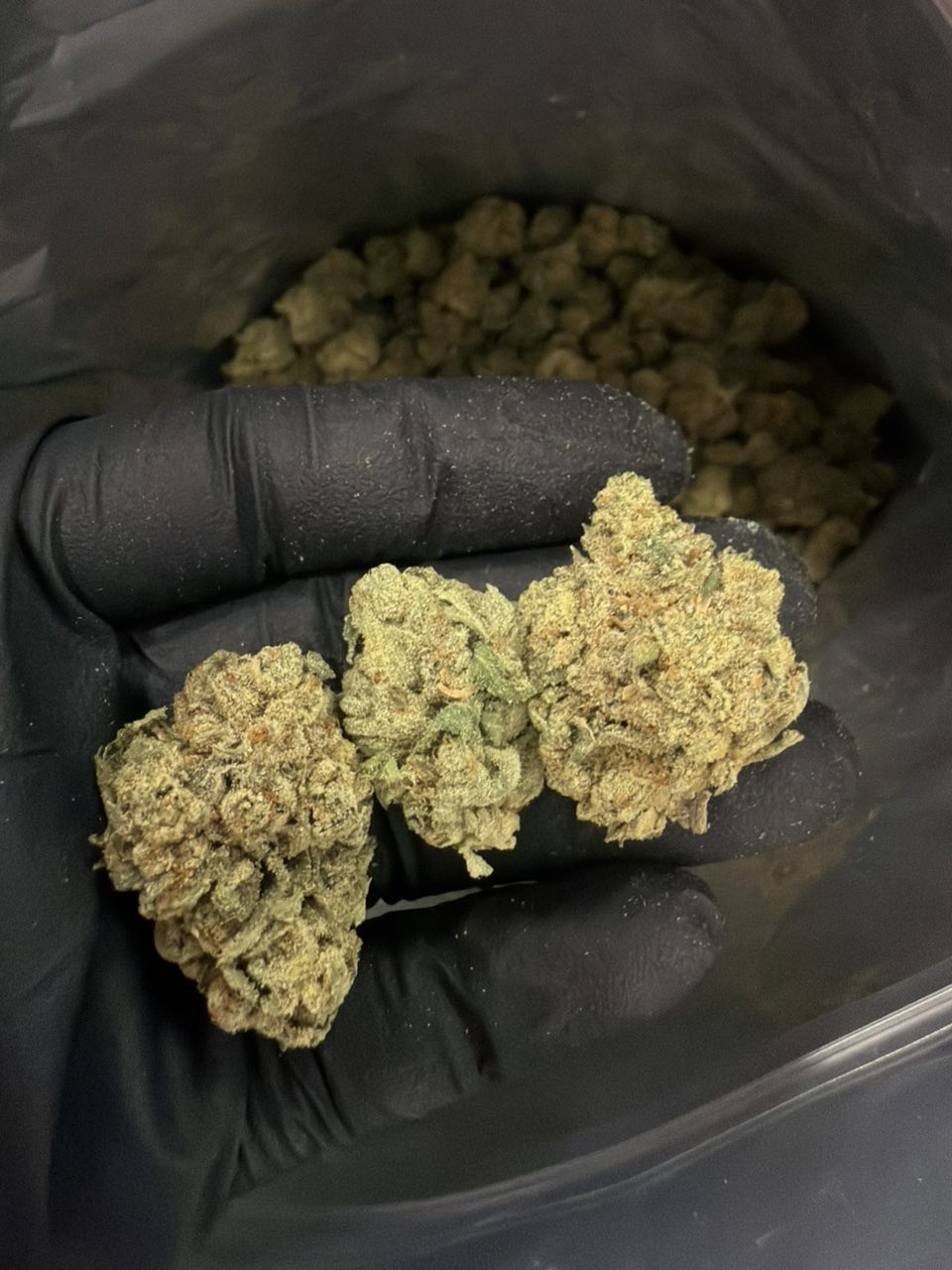 Private Banana — Hybrid available in Los Angeles