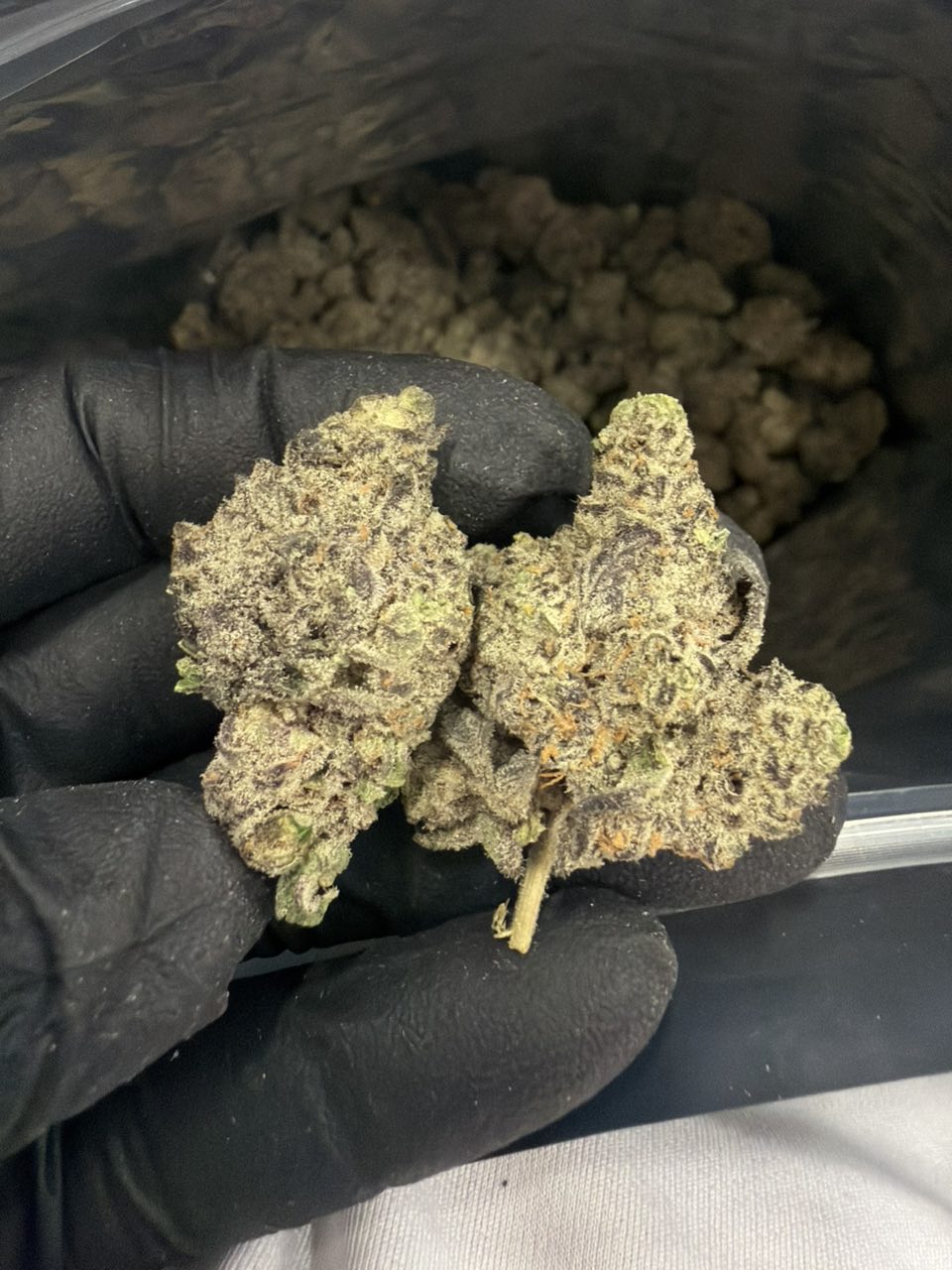 Beetle juice — Hybrid available in Los Angeles