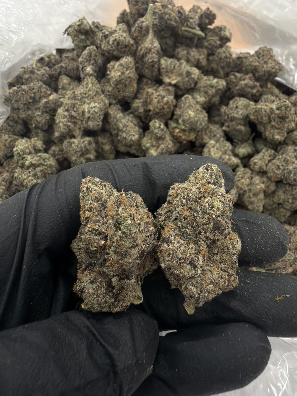Emerald Runtz — Hybrid available in Los Angeles