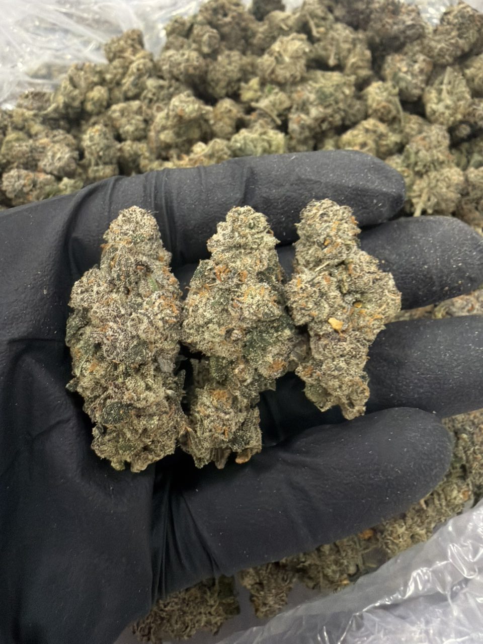 Gas KJ — Hybrid available in Los Angeles
