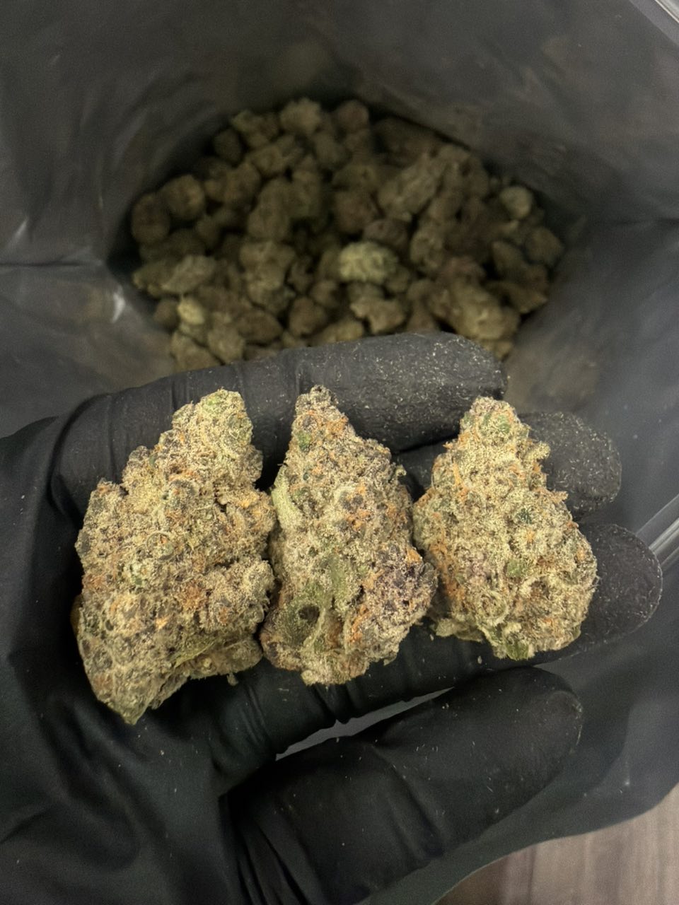 Tangie Berry Blast — Hybrid available in Los Angeles
