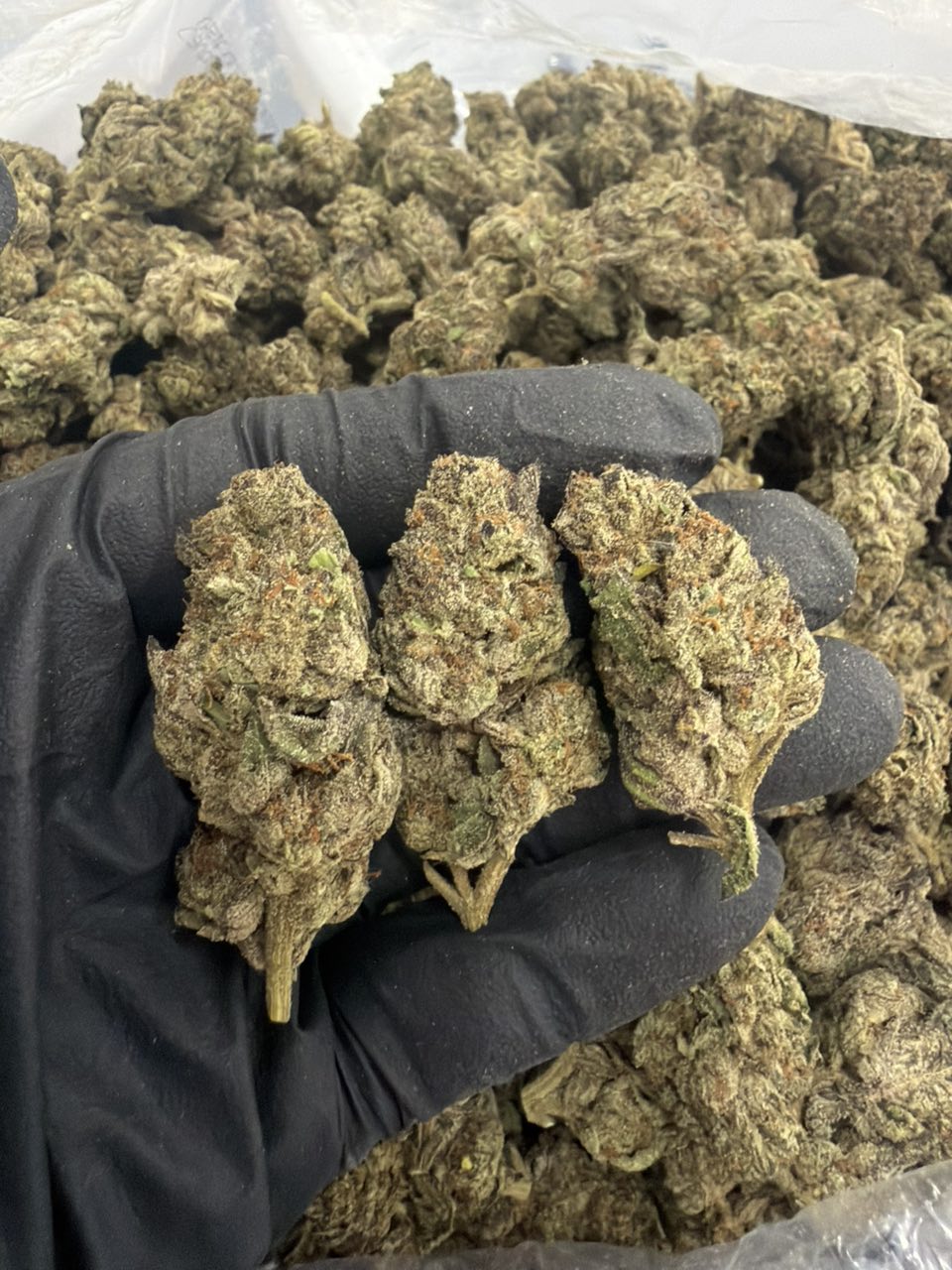 Black Diamond Deps — Indica available in Los Angeles