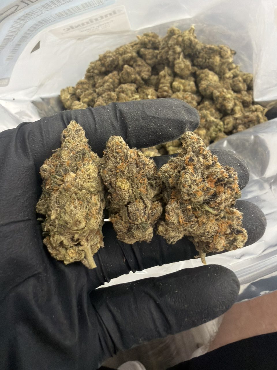 Candy paint — Hybrid available in Los Angeles