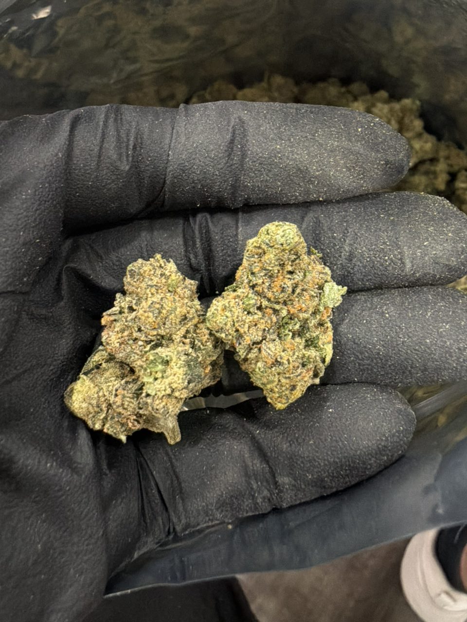 White Runtz loud tier — Hybrid available in Los Angeles