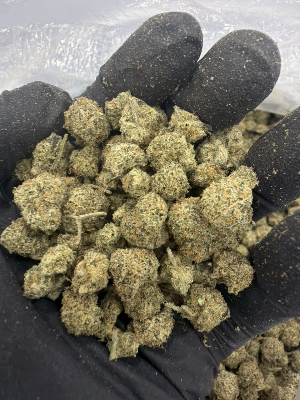 Cash out candy — Hybrid available in Los Angeles