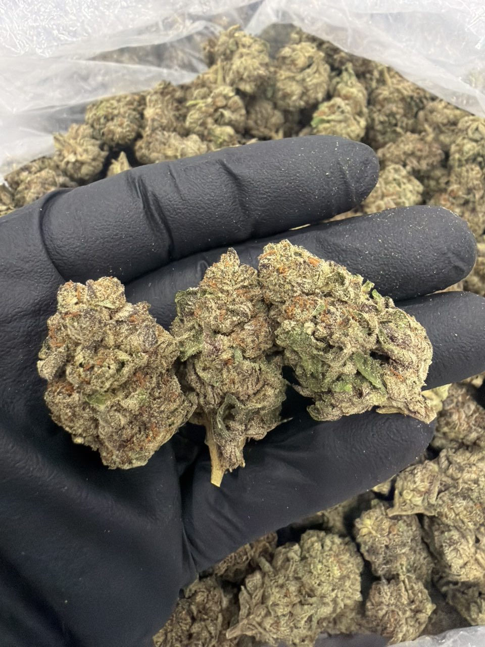 Oreo Runtz Deps — Hybrid available in Los Angeles